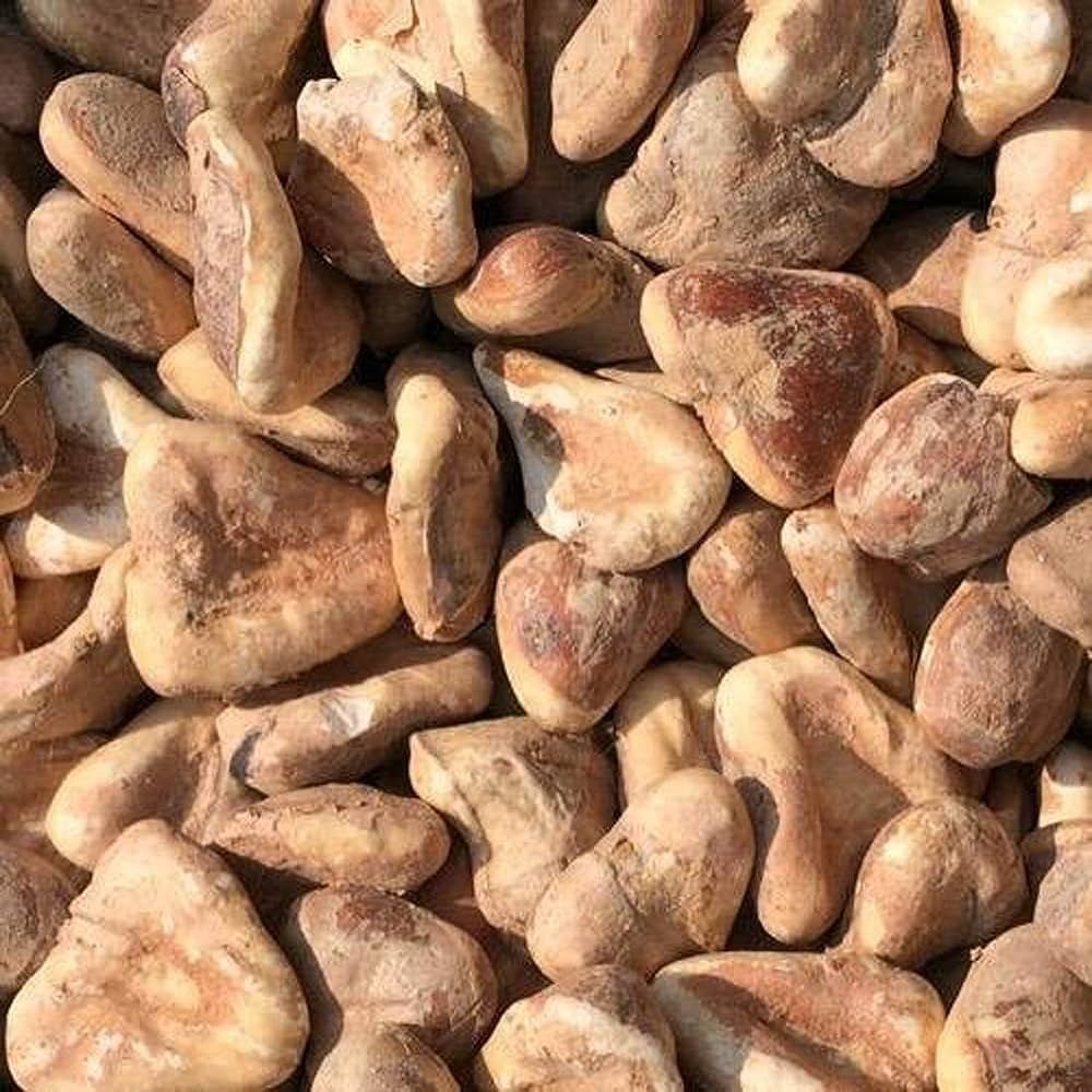 सिंघाड़ा खुश्क